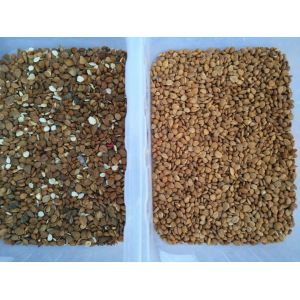 220V Cashew Nut Color Sorting Machine With Wifi Remote Control Service