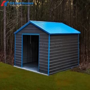 Durable and Cheap Prefabricated Steel Structure Building/Workshop/Hangar
