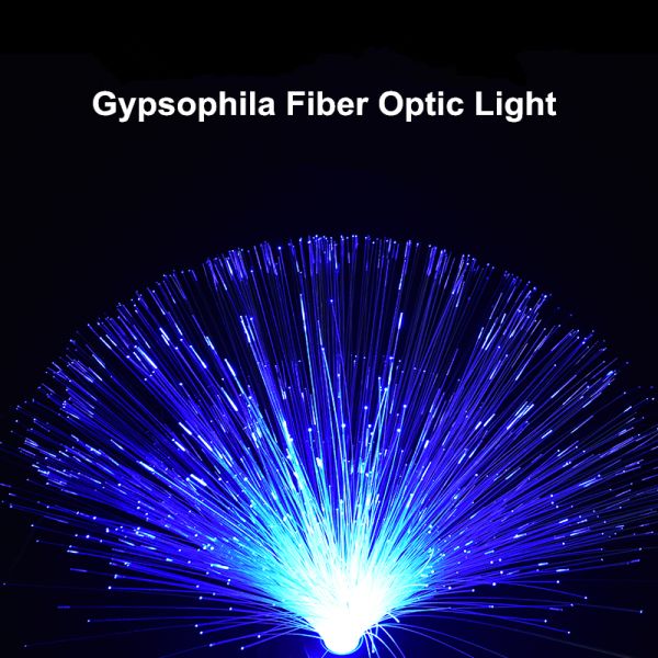 Remote Control Colorful Christmas Xmas Party Decor Luminous Flower Lamp Gradients Led Optic Fiber Star Light