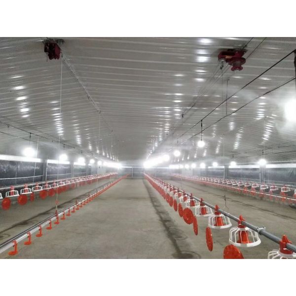 Galvanized Prefabricated Steel Structure Poultry House Chicken House Coop