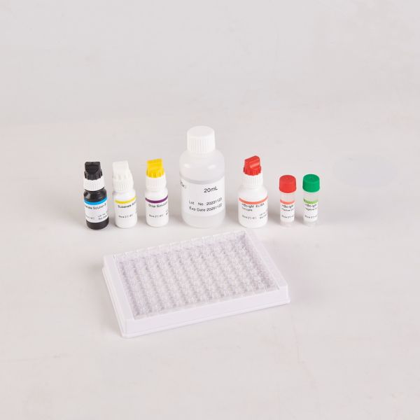 RUO HBcAb Elisa kit