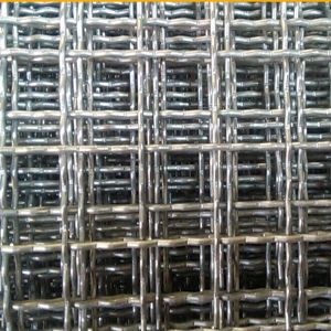 Wholesale Wholesale Galvanized Square Woven Wire Mesh / Stainless Steel Crimped Wire Mesh from china suppliers