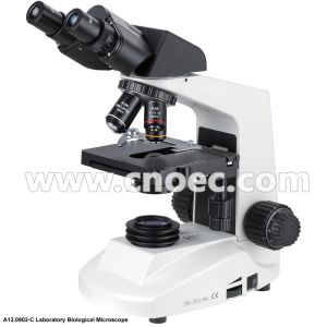 Monocular / Binocular Biological Microscope With Low Position Coaxial Coarse A12