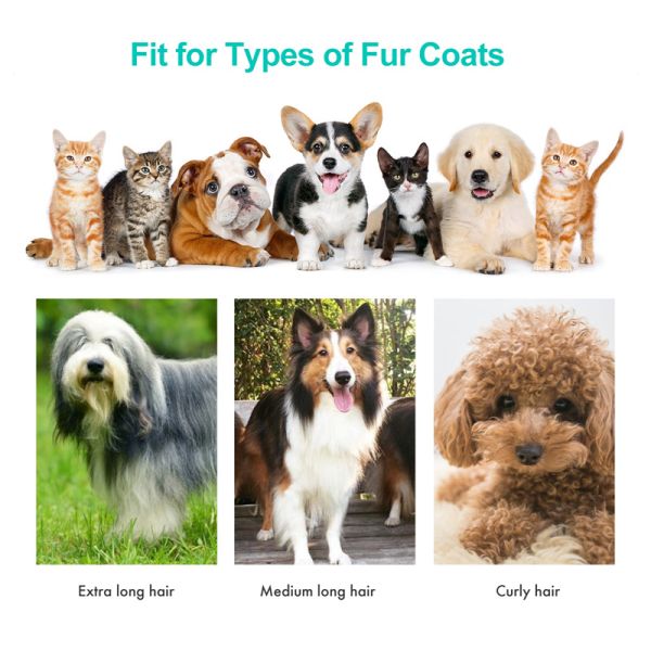 Pet Grooming Made Simple with 6-in-1 Vacuum Dust Bag 1.2L and Clippers Blades Included