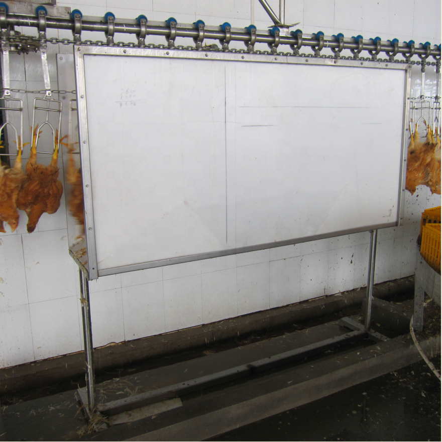 1000BPH Semi Automatic complete chicken quail goose duck Poultry Processing line Equipment for sale