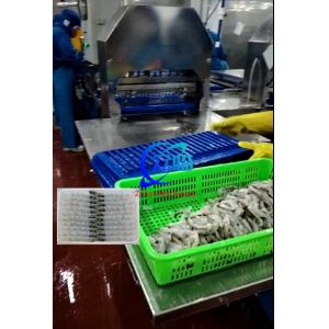 100 Pcs Tray Automatic NOBASHI Machine And Tempura Shrimp Stretching Machine