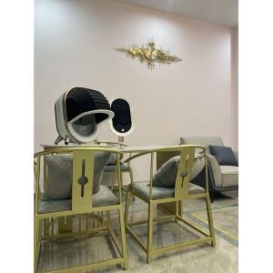 Dermoscopy Digital Diagnostic Portable Skin Analyzer Luxury Protect Privacy