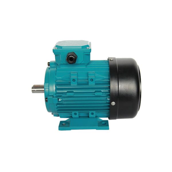 Quality IE1 Efficiency Three Phase Induction Motor With Thermal Protection (PTC) 1.5kw 2 HP for sale