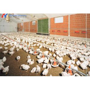 Customized Broiler Chicken Feeding Equipment With Automatic Drinking / Feeding