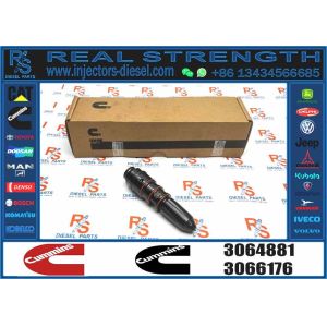 Wd09 Fuel Injector Assembly M11 PT 3064881 3071497 Fuel Injector