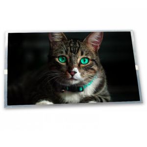 Wholesale High Resolution 6.2-Inch stock Compatible WLED LCD Display Module 640*240 ODM TX16D11VM2CAC Modules from china suppliers