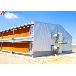 Prefab Steel Structure Poultry Farm Shed with Automated Feeding System