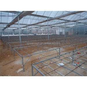 Film Type Multi Span Greenhouse Wide Span Greenhouse With Steel Skeleton And