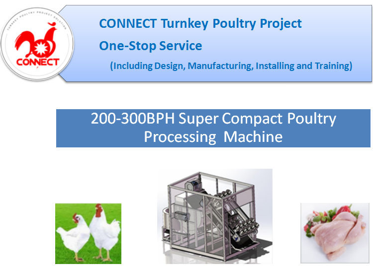2019 Cheapest price hot sales super compact small scale poultry processing equipments for slaugherhouse machine 200BPH 300BPH