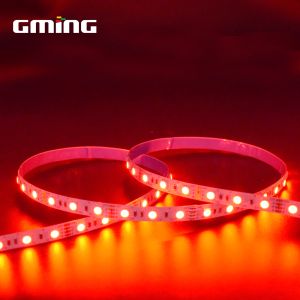 Low Voltage Magic Color 5050 Rgb Led Strip 12V 24V Waterproof