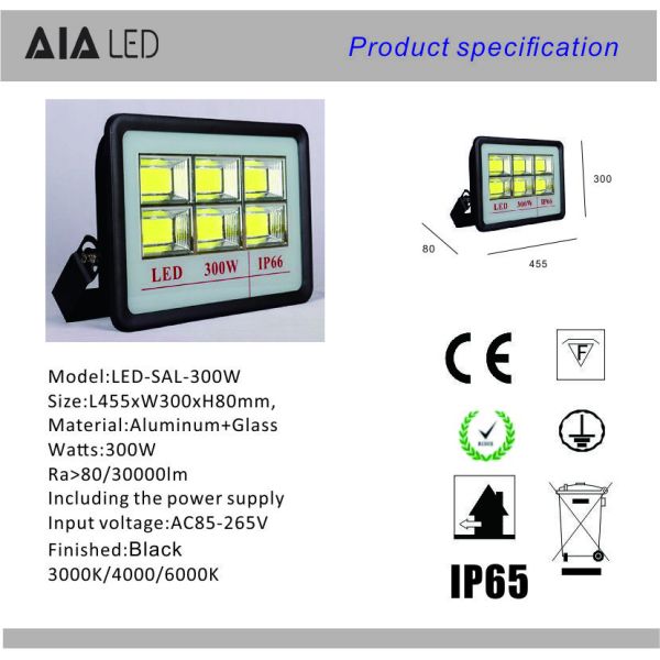 New aluminum exterior waterproof IP66 high power led flood lamp COB 300W LED Flood light
