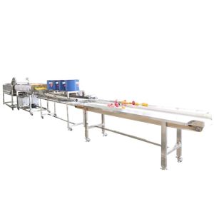 Fruit Vegetable Washing Machine Eggplant Potato Processing And Packing Line