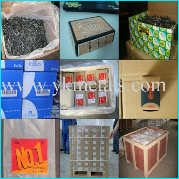 Hot selling! Common Nails