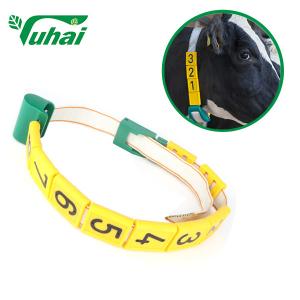 China Custom Livestock Bands Identification Marking Tape With Number Plate Neck Collar Adjustable on sale