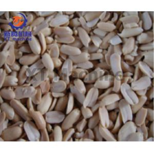 304 Stainless Steel Peanut Butter Grinding Machine Groundnut Grinder Ethiopia