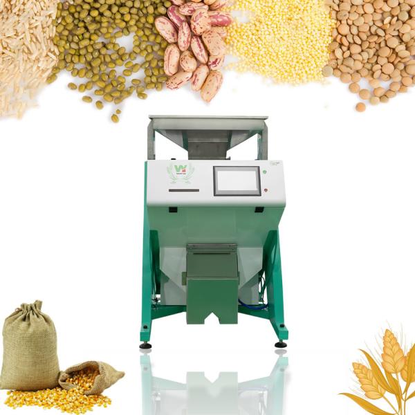 Quality Wenyao Almond Nut Color Sorter Machine Pecans Color Sorting Machine With CCD Camera for sale