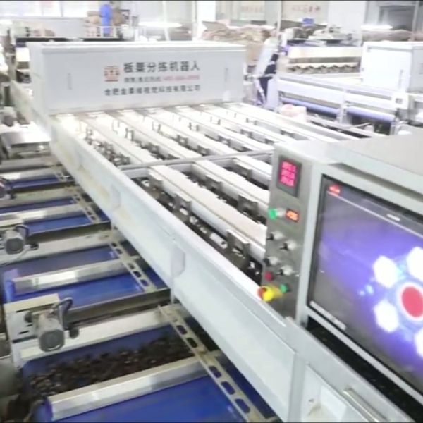 Labor Saving 3.3 Tons per Hour Chestnut Sorting Machine with Deep learning