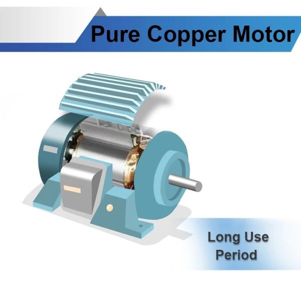 Individual Temperature Control Flour And Noodle Machine For Customized Production Needs