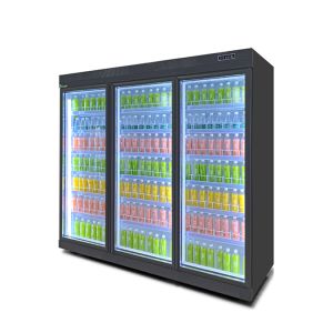Advanced Multi Glass Doors Display Freezer With 6 Layers Adjustable Shelf