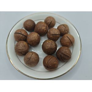 Delicious Natural Macadamia Nuts From In Plastic Bag