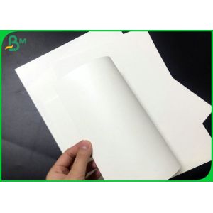 Jumbo Rolls 200gsm + 15PE Coated White Paper For Paper Cups 700mm Width