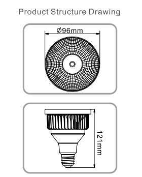 LED Par Light PAR30