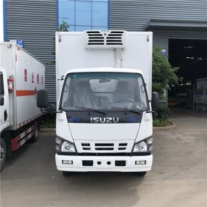 5 TONS ISUZU 600P FREEZER TRUCK WITH THERMOKING FRIGERATOR UNIT -25 DEGREES