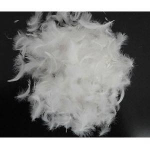 Raw Marerial 90%, 80% White Duck Down