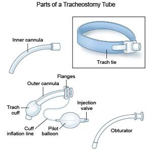 10.0 Safety Tracheostomy Cuffed Uncuffed Endotracheal Tube With Subglottic Suction