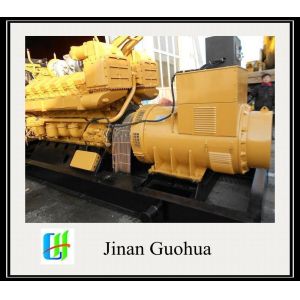 12V190 Biogas Power Generator Customization Customized Request 500kw Biogas