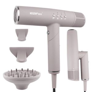 Brushless Motor Ionic Foldable Hair Dryer Multipurpose Adjustable Speed