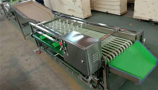 Quality cherry grading machine,dates sorting machine,waxberry sortor,plum sorting machine for sale
