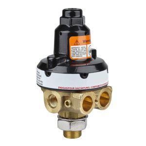 IMPCO HPR3600 Regulator Fuel System Parts For Compressed