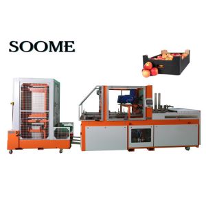 High-Performance Automatic Box Forming Machine for Working Speed 2400Pcs/min