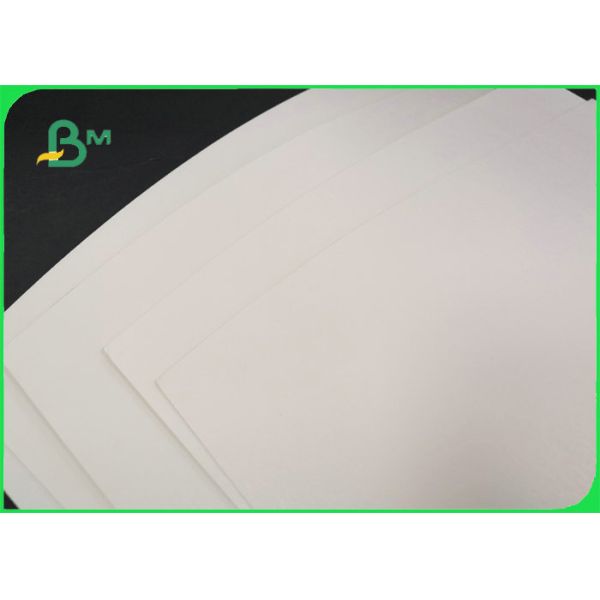 230gsm 260gsm PLA Coated Cardboard For Bowls 100% Biodegradable Food Safe 230gsm 260gsm PLA Coated Cardboard For Bowls 100% Biodegradable Food Safe