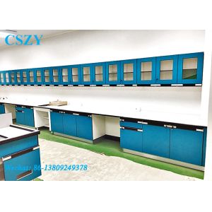 Wholesale Testing Laboratory Bench With Cabinet Fitting Machines Apparatus In Biology Lab from china suppliers