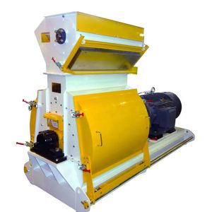 Wholesale Cameroon 50t/24h Complete Maize Flour Mill Grits Machine Corn Milling Line in Turkey from china suppliers