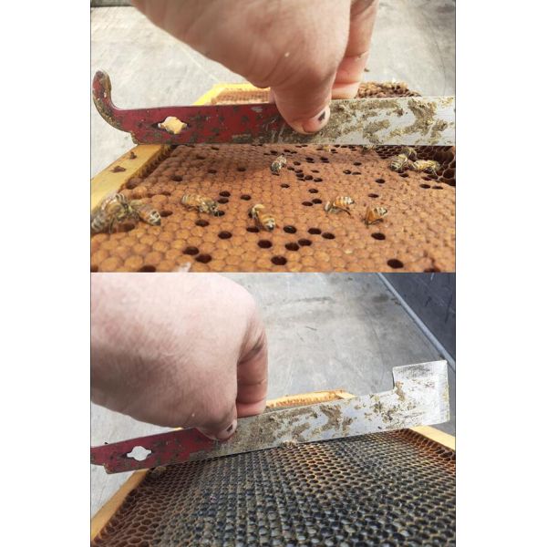 Beekeeping Tools Equpment Beekeeping Plastic Bee Foundation Sheets
