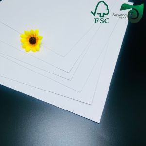 Double Sided Gloss FSC American Bristol Paper Board 250gsm 300gsm Sheet Printing