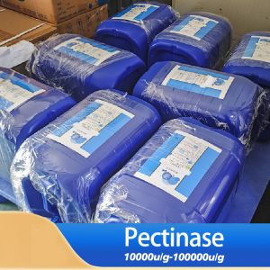 20000U/G Pectinase Enzyme Pectinase Liquid Customized Enzyme Activity