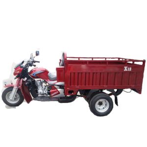 Wholesale Rear Load Gasoline 1.5t 200w 5 Wheel Motorcycle from china suppliers