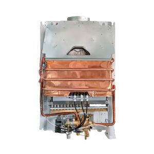 Custom Natural Gas Instant Wall-Mounted Tankless Water Heater 6L