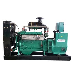 8-1000KW Biogas Generator