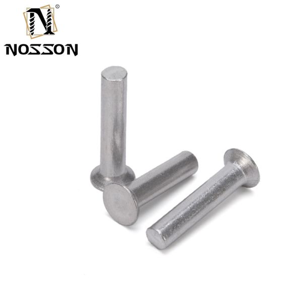 Fast and Solid Performance DIN Standard Solid Round Head Rivets Stainless Steel 304 316 with Bright Finish at Direct Supply