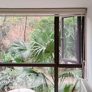 Door Window Fly Bug Mosquito Mesh Roller Retractable Insect Screen